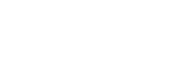 HORIZON LLC